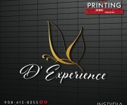 Inspiria-Printing-Logo-Designs7